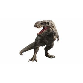 3D model Zhuchengtyrannus Magnus- Descendant of TRex